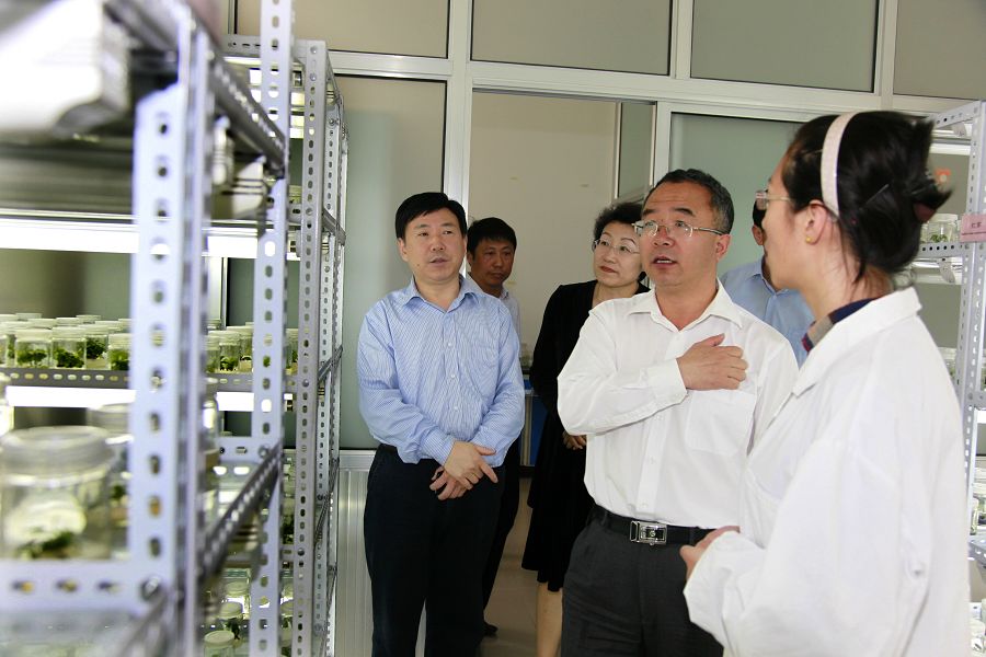 点此在新窗口浏览图片