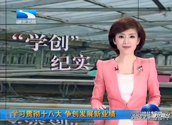 点此在新窗口浏览图片