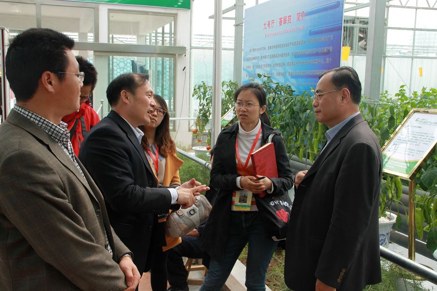 点此在新窗口浏览图片