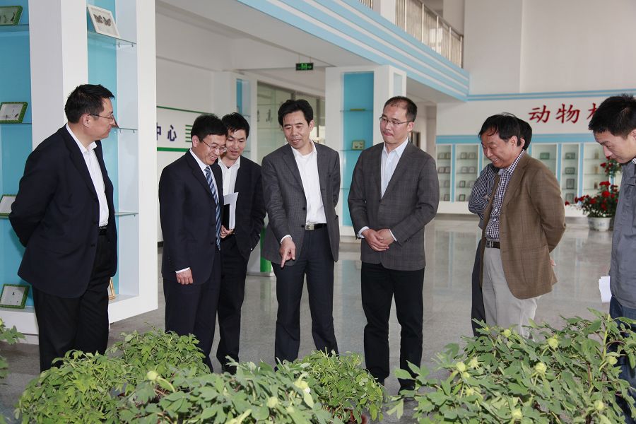 点此在新窗口浏览图片