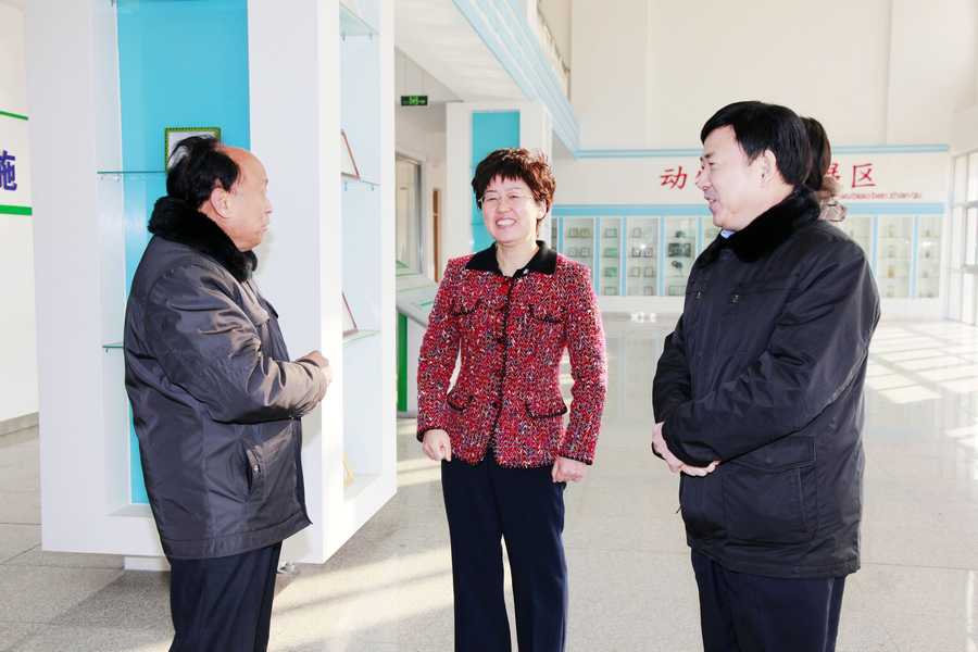 点此在新窗口浏览图片