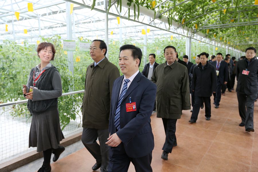 点此在新窗口浏览图片