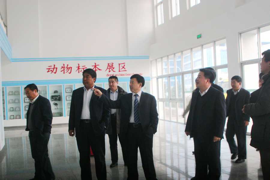 点此在新窗口浏览图片