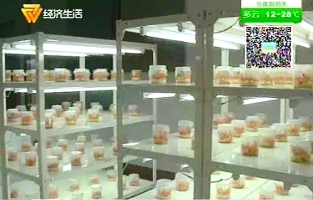 点此在新窗口浏览图片