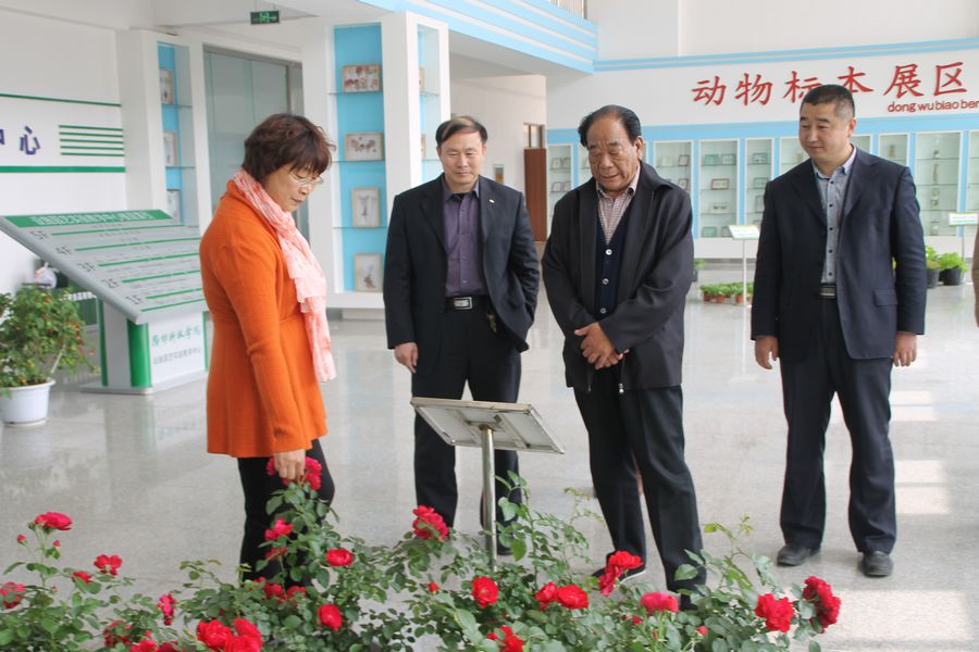 点此在新窗口浏览图片